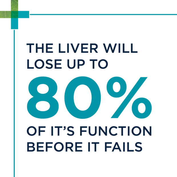 PAW Hepatoadvanced for cats and dogs under 15kg, 60 tablets, liver health support.