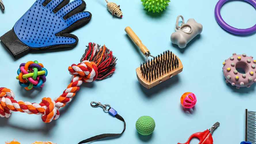 Dog Washing and Grooming Tips