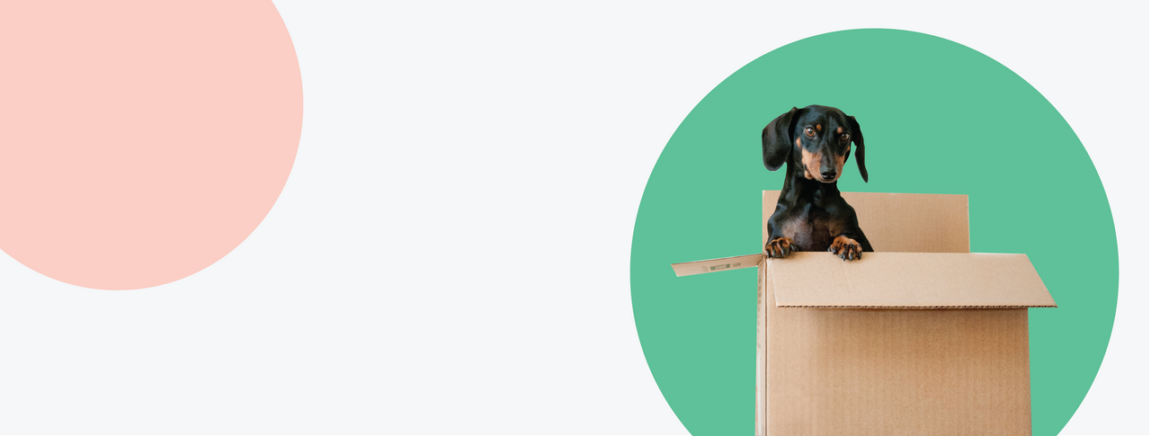 Shop Premium vet-grade brands to keep your dog happy, healthy, and thriving at Sierra Pet Products!