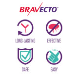 Bravecto for Small Dogs chew, highlighting long-lasting, effective, safe, and easy flea protection.