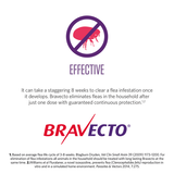 Bravecto chew for medium dogs (10-20kgs) offers 8-week flea protection.