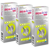 Bravecto PLUS Spot On for Cats, green packaging, 3 doses for 1.2-2.8 kg cats.
