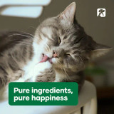 NAS Dermal Cream 60g for pets, shown with a happy cat grooming, emphasizing pure ingredients.