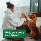 NAS Dermal Cream 60g with a dog and owner enjoying playful interaction.