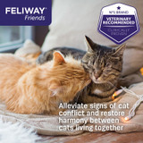 Feliway Friends Diffuser Refill 48mL - 2 Pack