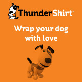 ThunderShirt: The Ultimate Solution for Anxious Dogs