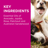 PAW Sensitive Shampoo for Dogs 500ml PAW Sensitive Shampoo for Dogs 500ml