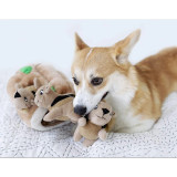 Outward Hound Hide A Squirrel Plush Puzzle Toy | 4 Sizes Available