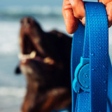 Front view of the Zee.Dog NeoPro Blue Leash range.