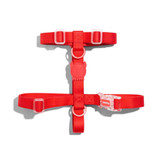 Top view of the Zee.Dog Neopro Red H-Harness range.