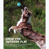 Outward Hound Fetch Squeaker Ballz - Pack of 2 Large