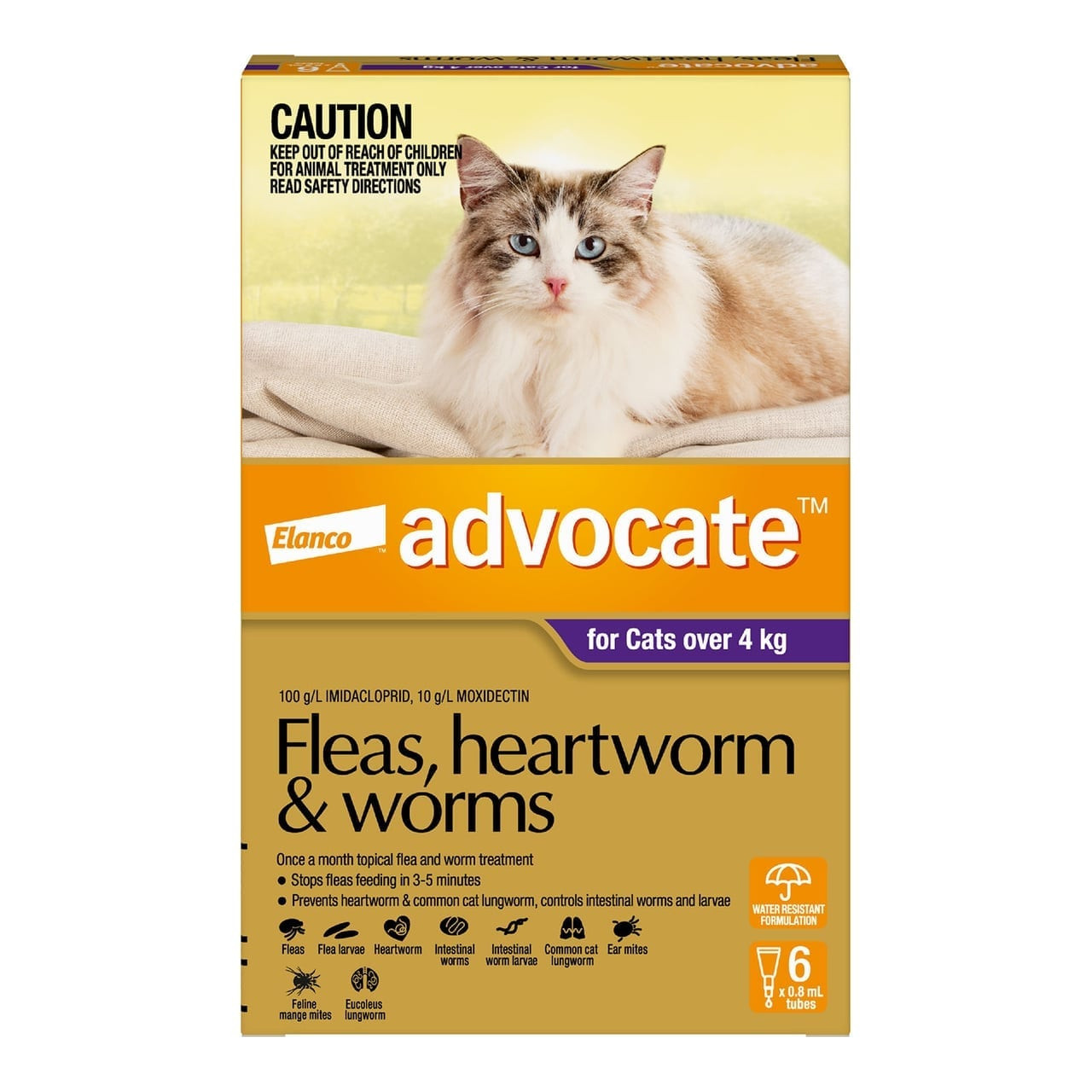 Advocate for Large Cats over 4 kg - 6 pack, treats fleas, heartworm, and worms.