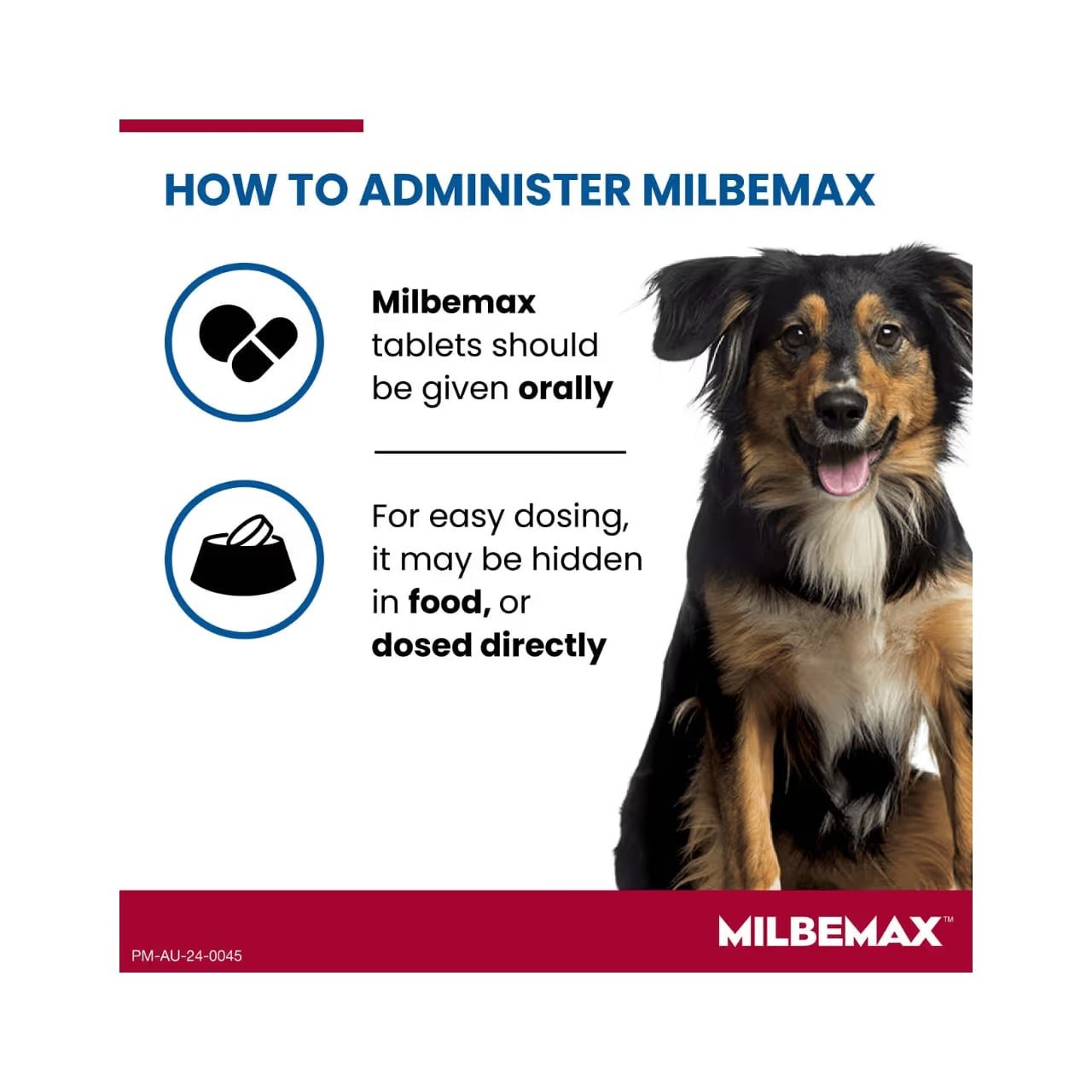 Milbemax Allwormer for Dogs Over 5kg - dosage instructions with a happy dog.