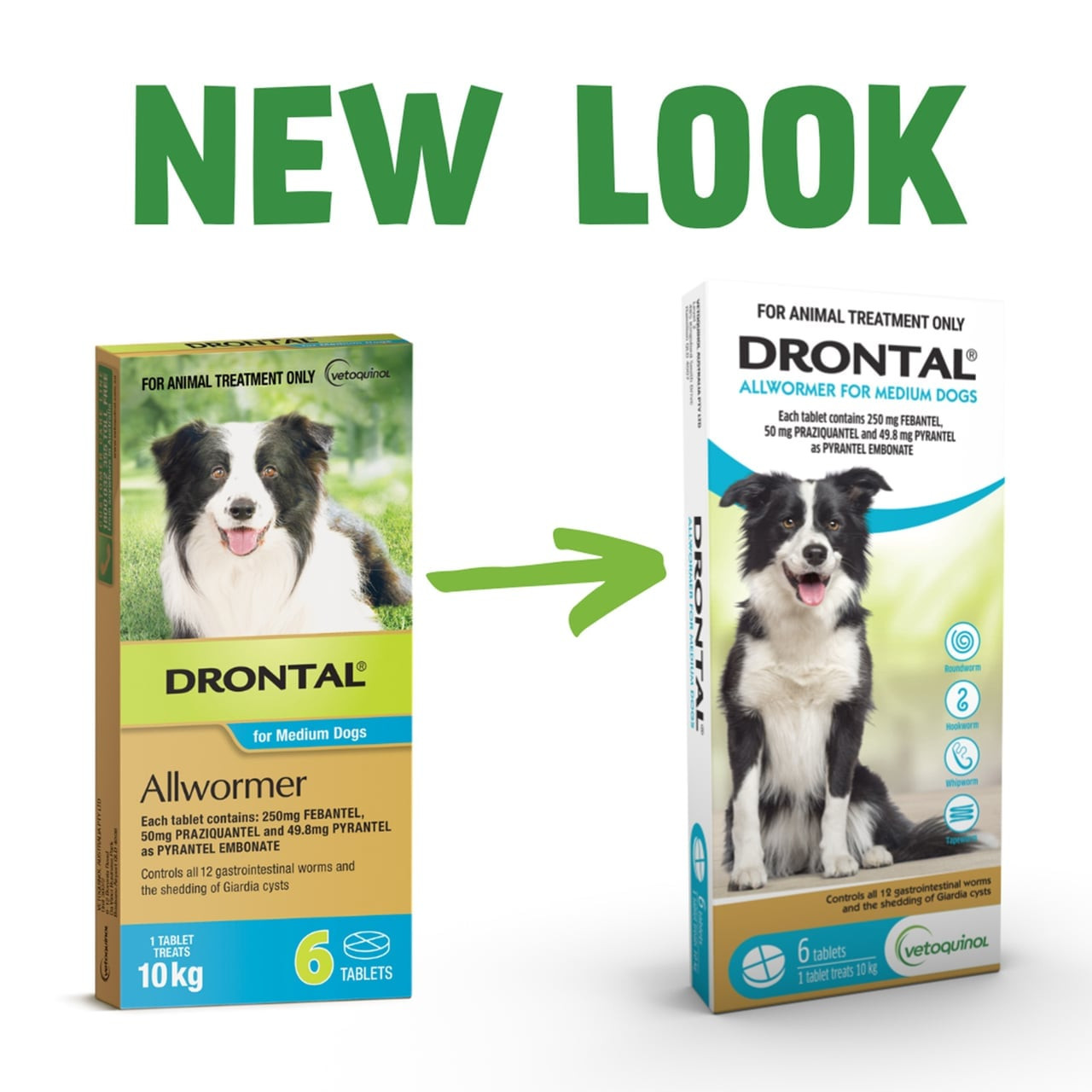 Drontal Allwormer Tablets for Medium Dogs, 6-pack, effective treatment for dog health.