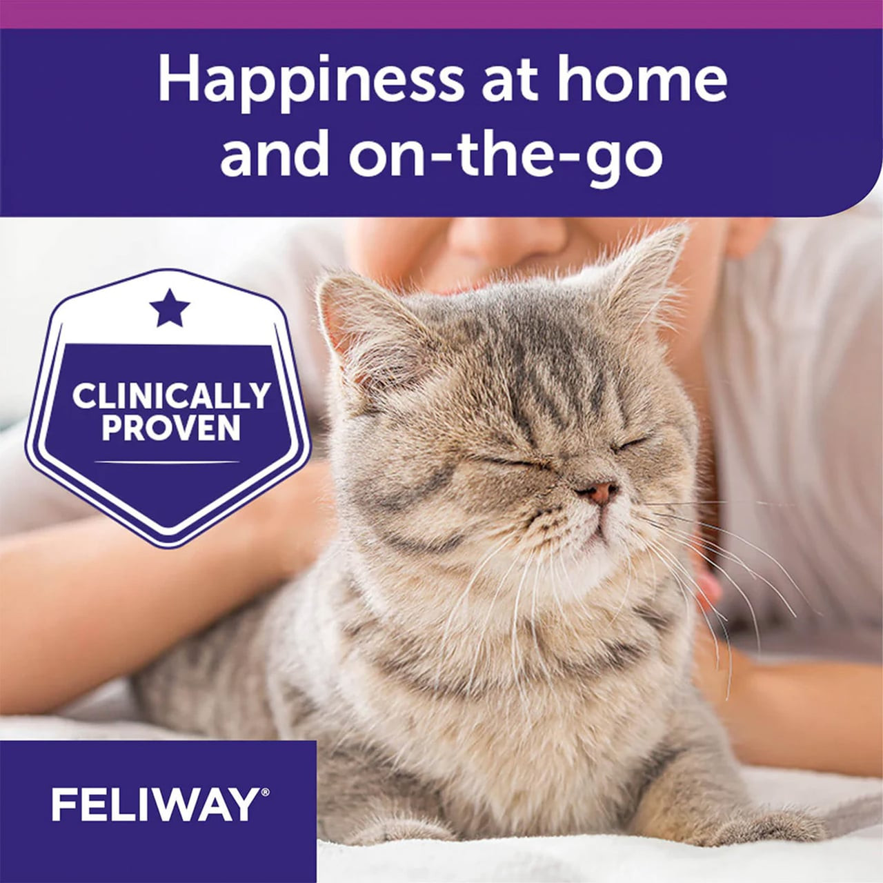 Feliway Spray for Cats 60mL, promoting calmness and happiness for cats at home and travel.