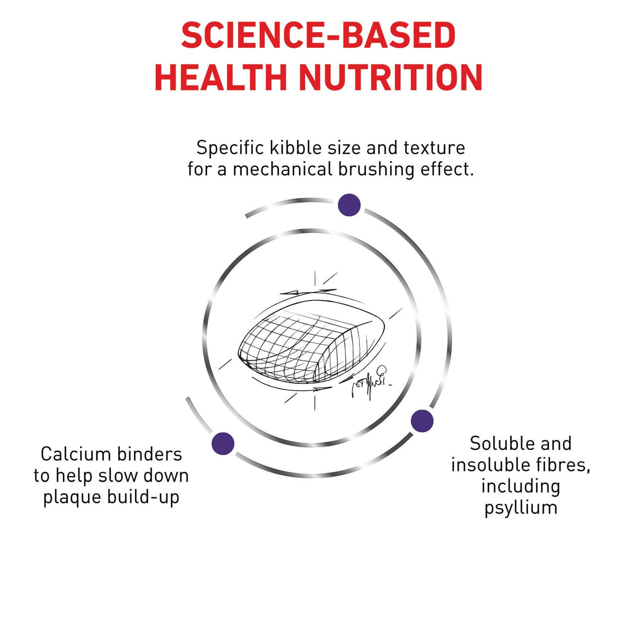 Royal Canin Veterinary Diet Feline Dental S/O Dry 1.5kg, designed for dental health, plaque control.