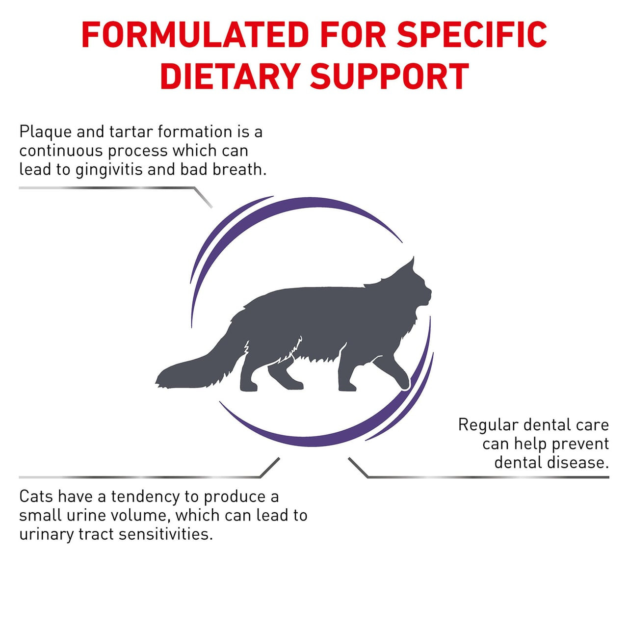 Royal Canin Veterinary Diet Feline Dental S/O Dry 1.5kg for dental health and urinary support.