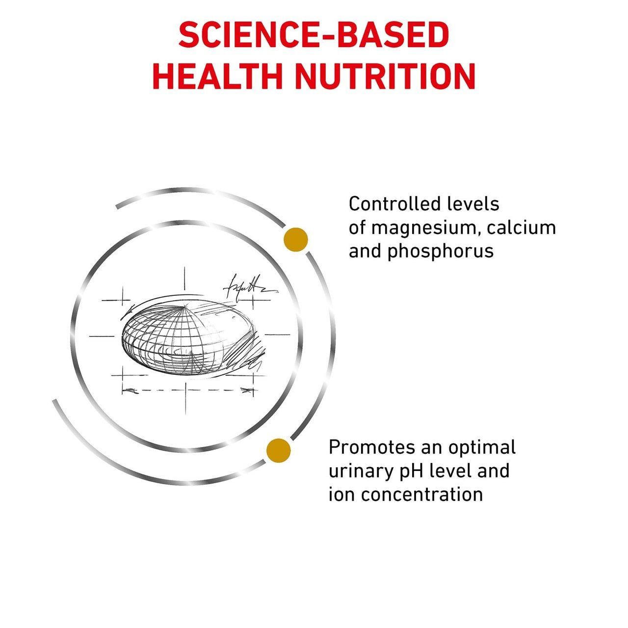 Royal Canin Veterinary Diet Feline Urinary S/O Dry 3.5kg, supports cat urinary health with balanced minerals.