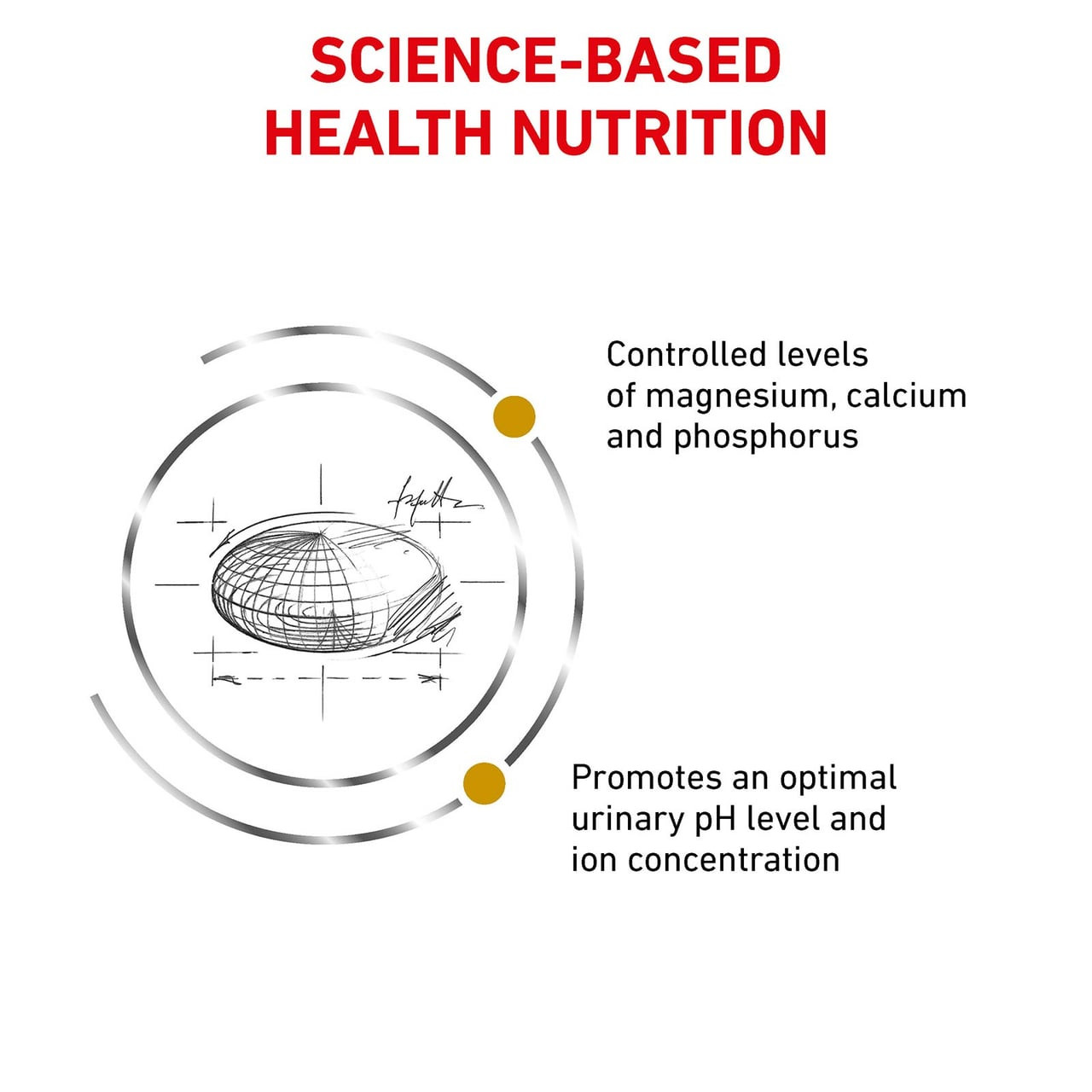 Royal Canin Veterinary Diet Feline Urinary S/O Dry 7kg packaging emphasizing science-based health nutrition for cats.