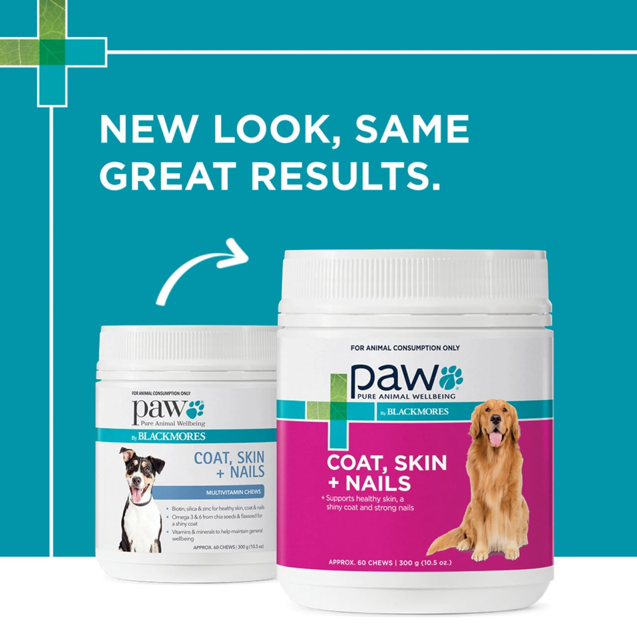 PAW Coat Skin & Nails Chews for Dogs, 300g tub, supports healthy skin and nails.