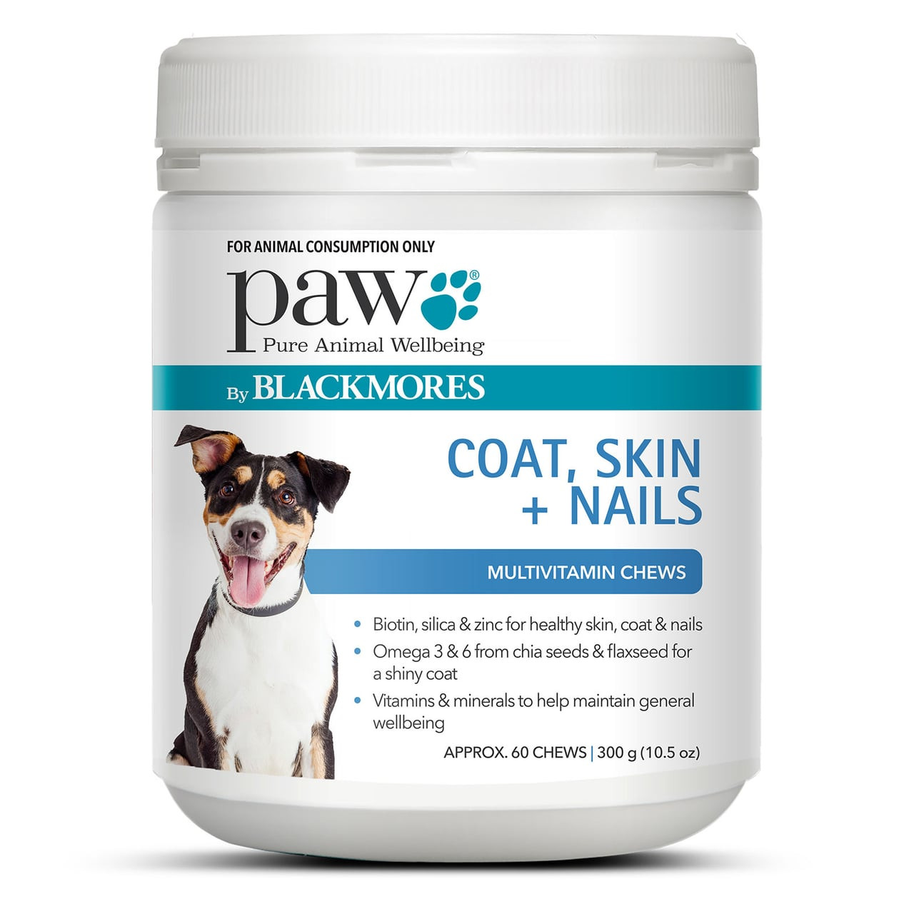 PAW Coat Skin & Nails Chews for Dogs in a 300g container promoting shiny fur and healthy nails.