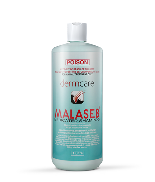 Dermcare Malaseb Medicated Shampoo 1L for dogs and cats, designed for pet skin health.
