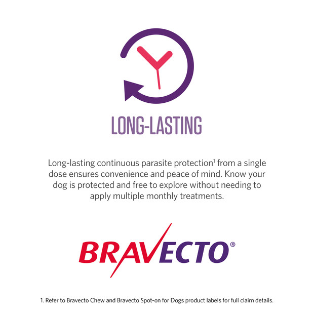 Bravecto chew for medium dogs 10-20kgs, offers long-lasting parasite protection in one dose.