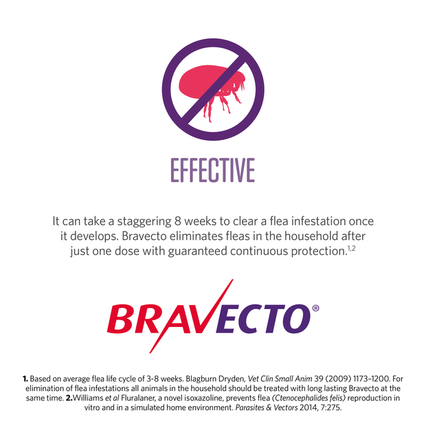 Bravecto chew for medium dogs (10-20kgs) offers 8-week flea protection.