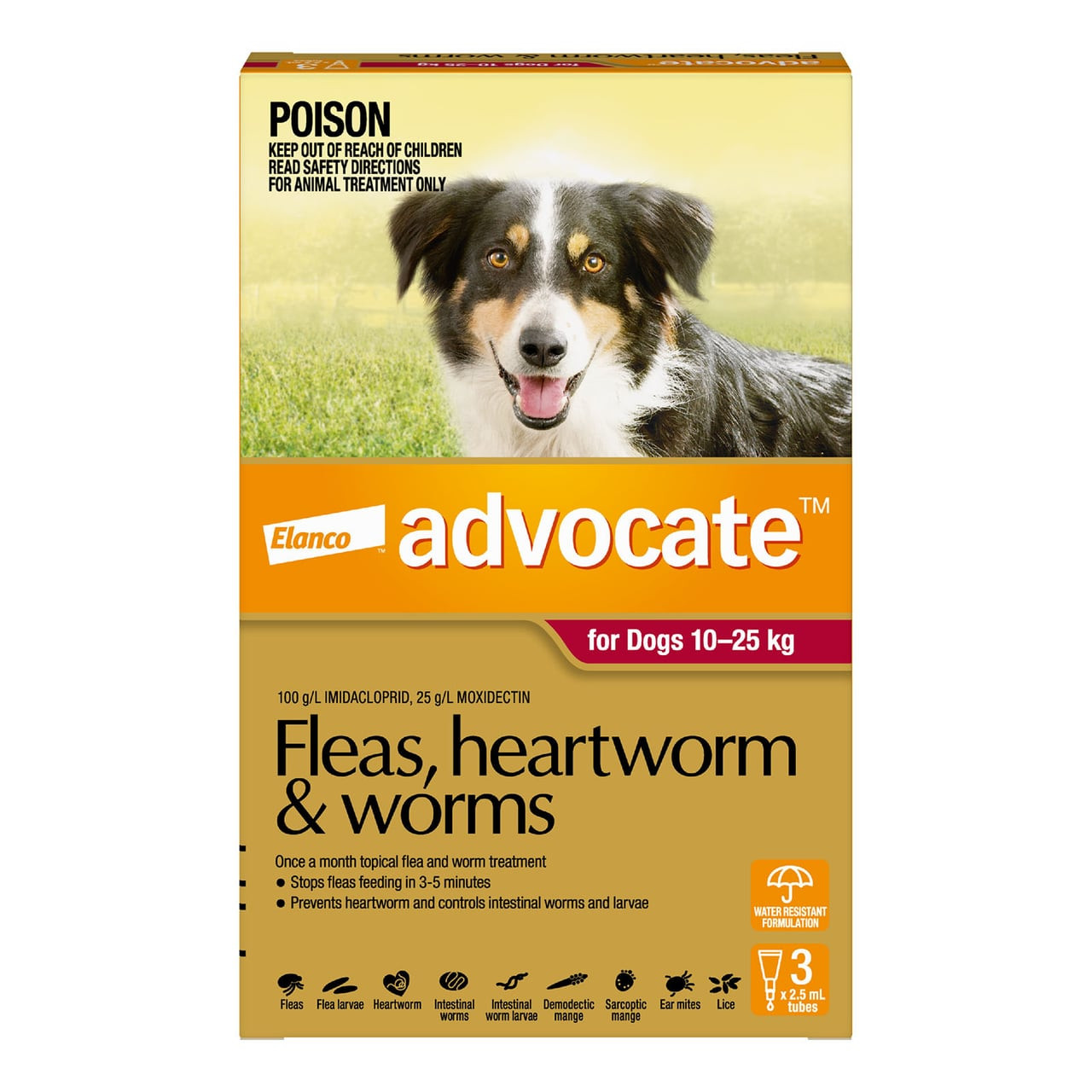 Advocate for Dogs 10-25 kg - 3 pack, topical treatment for fleas, heartworms, and worms.