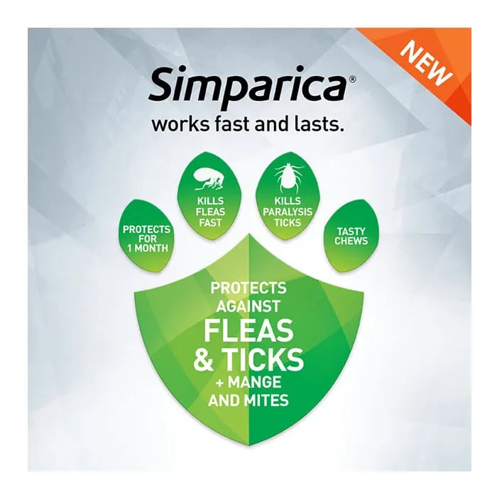 Simparica for large dogs, 20.1-40kg, offers tasty chews for flea and tick protection.