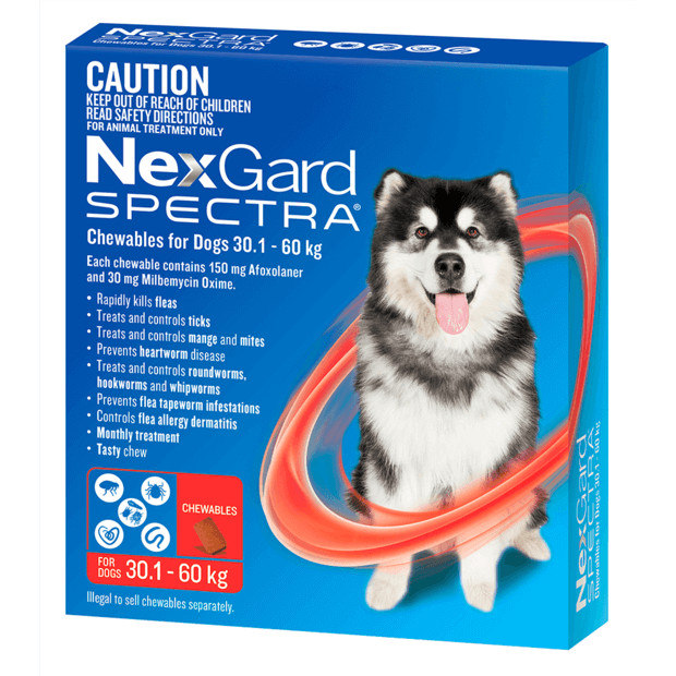 NexGard Spectra chews for extra large dogs 30.1-60kg in red packaging, treats fleas and ticks.
