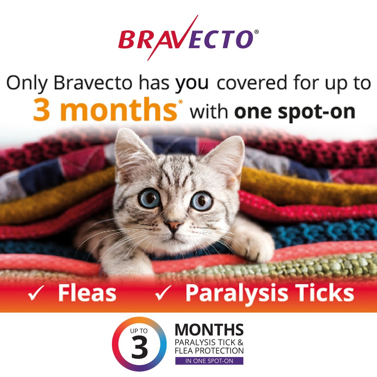 Bravecto Spot On for Cats Green 2 Dose Pack, effective flea and tick protection for cats.