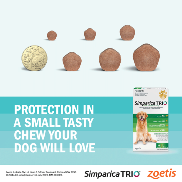 Simparica TRIO for Dogs & Puppies 2.6-5 kg, six tasty chews in purple packaging.