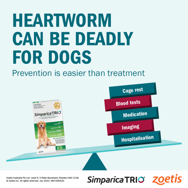 Simparica TRIO for Dogs 5.1-10 kg includes three orange chews for heartworm prevention.
