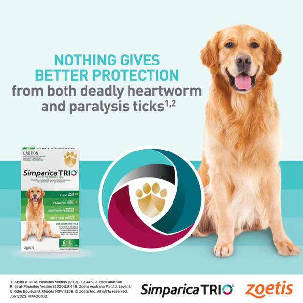 Simparica TRIO for Dogs 5.1-10 kg, 6 orange chews for heartworm and tick protection.