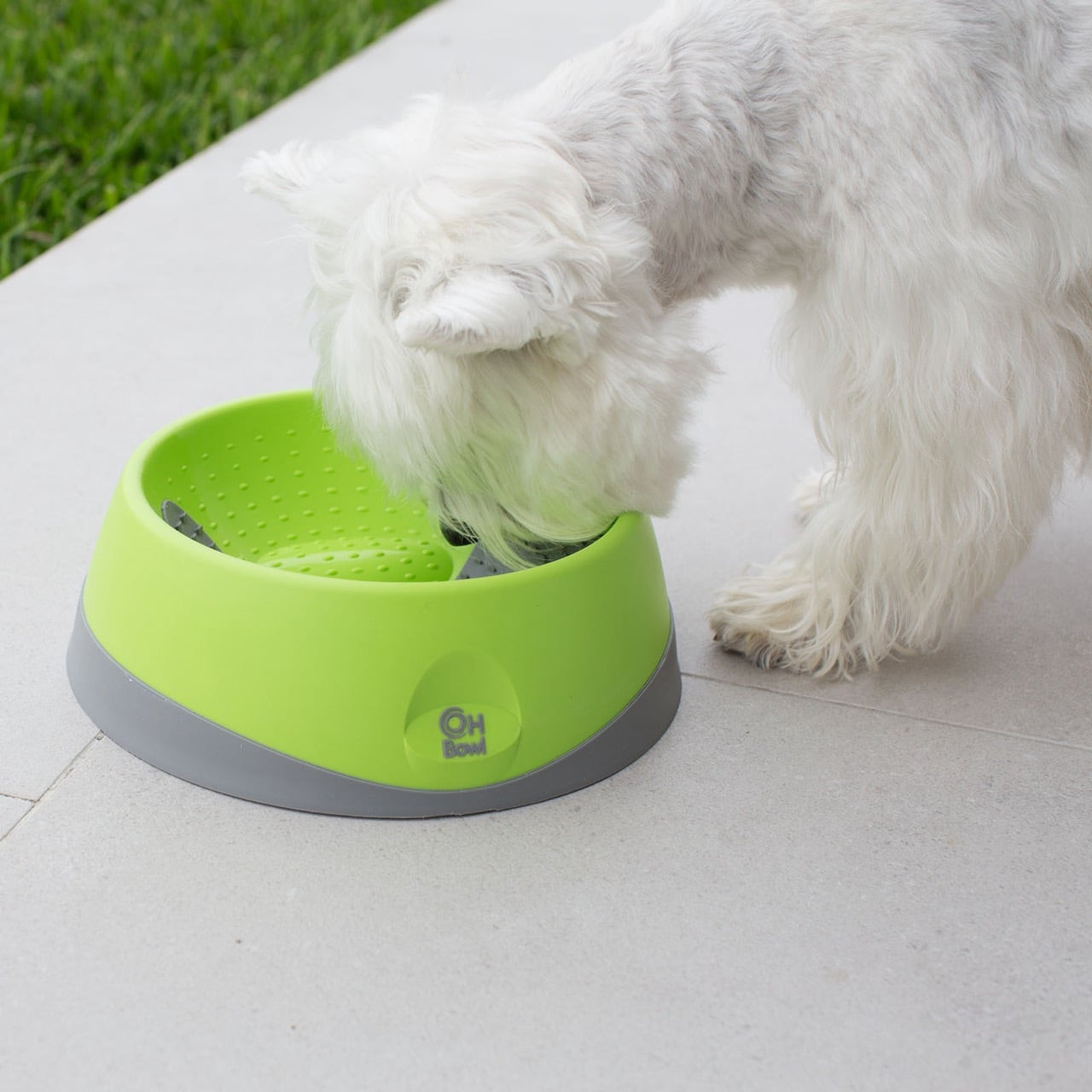 Small green LickiMat Oh Bowl for dogs promoting oral hygiene during feeding.