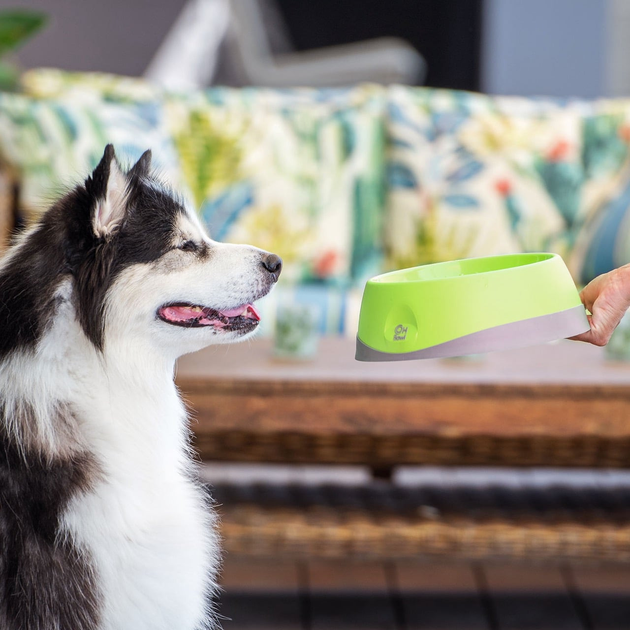 Medium green LickiMat Oh Bowl designed for dog oral hygiene, featuring a soft-sided design.