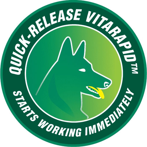 VitaRapid Oral Care Daily Treats for Dogs packaging featuring quick-release benefits and green design.