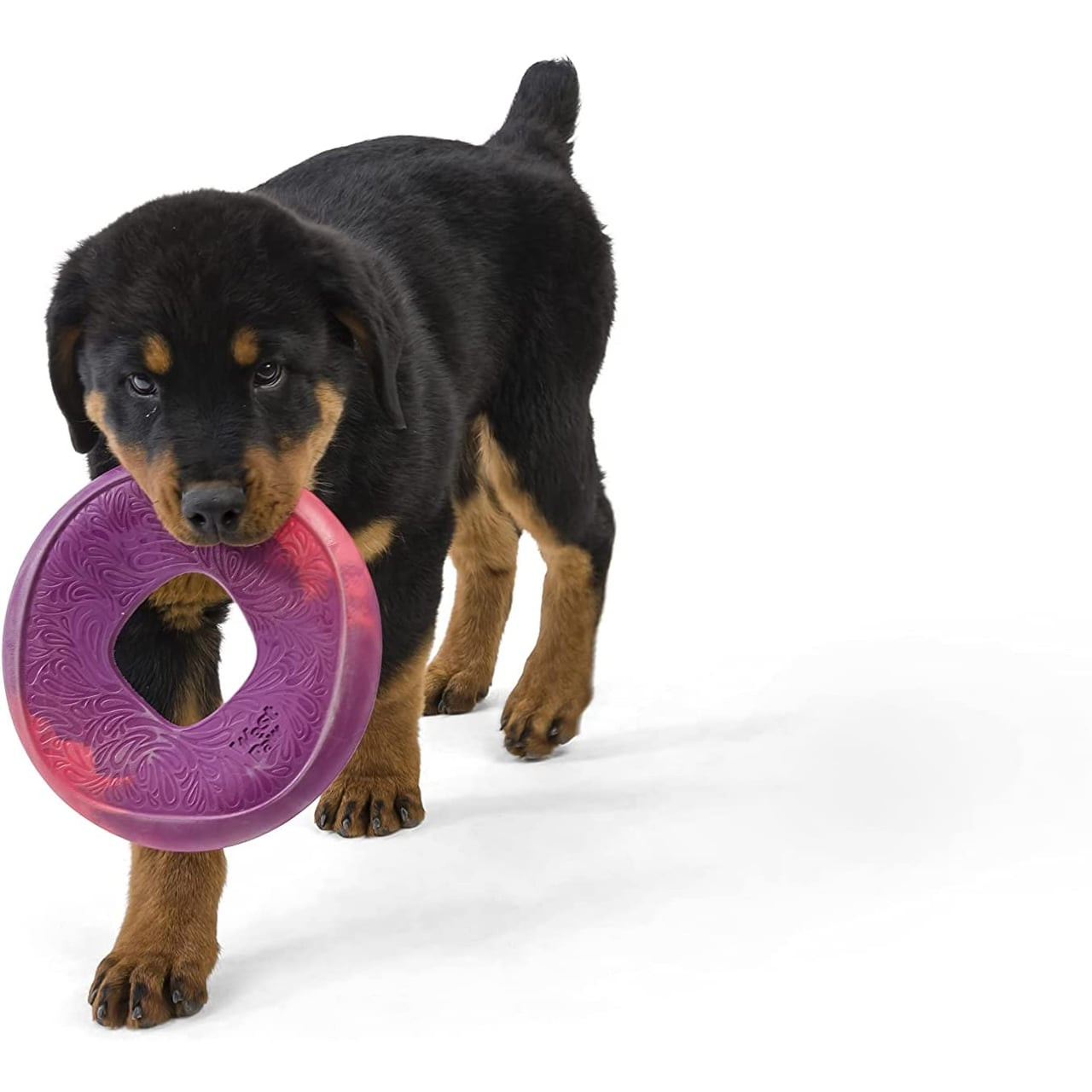West Paw Seaflex recycled plastic flyer dog toy in hibiscus color, designed for playful pups.