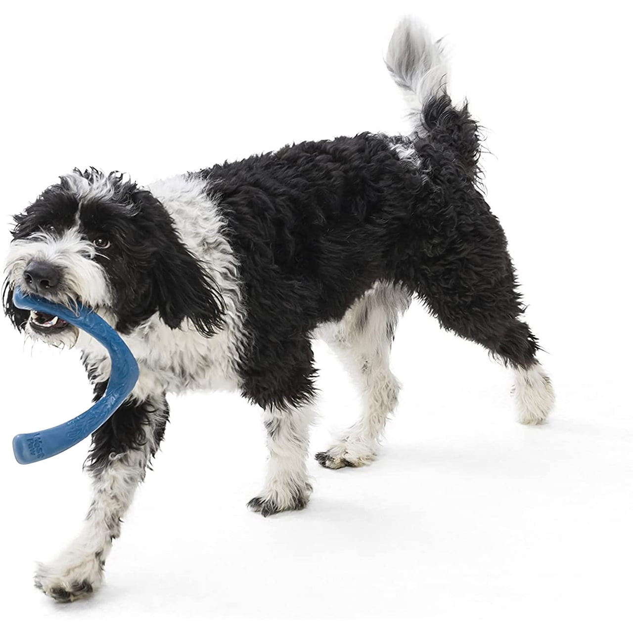 West Paw Seaflex Tug Dog Toy in Snorkl Surf color, durable and eco-friendly for playful pups.