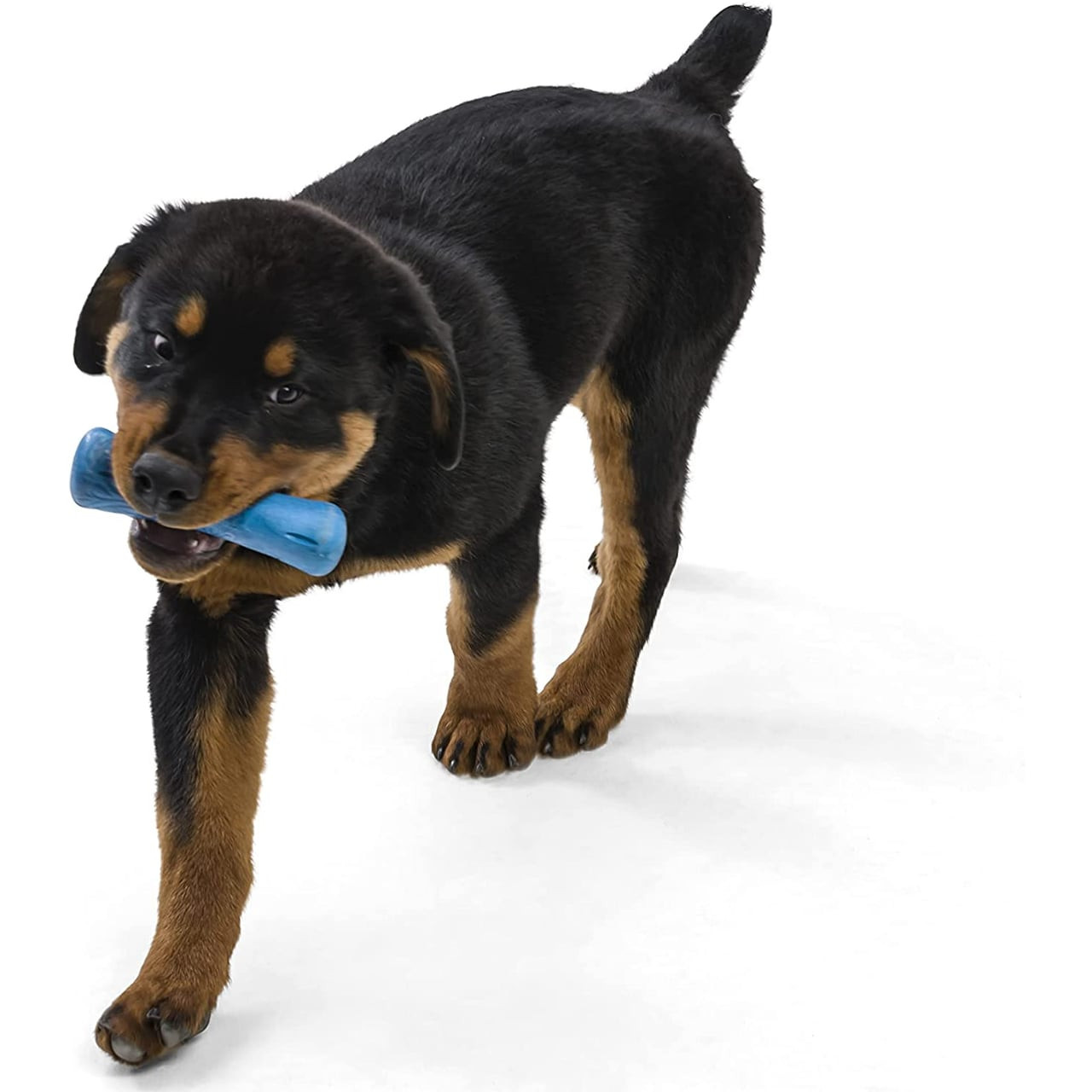West Paw Seaflex Drifty Small fetch dog toy in blue, designed for eco-friendly play.