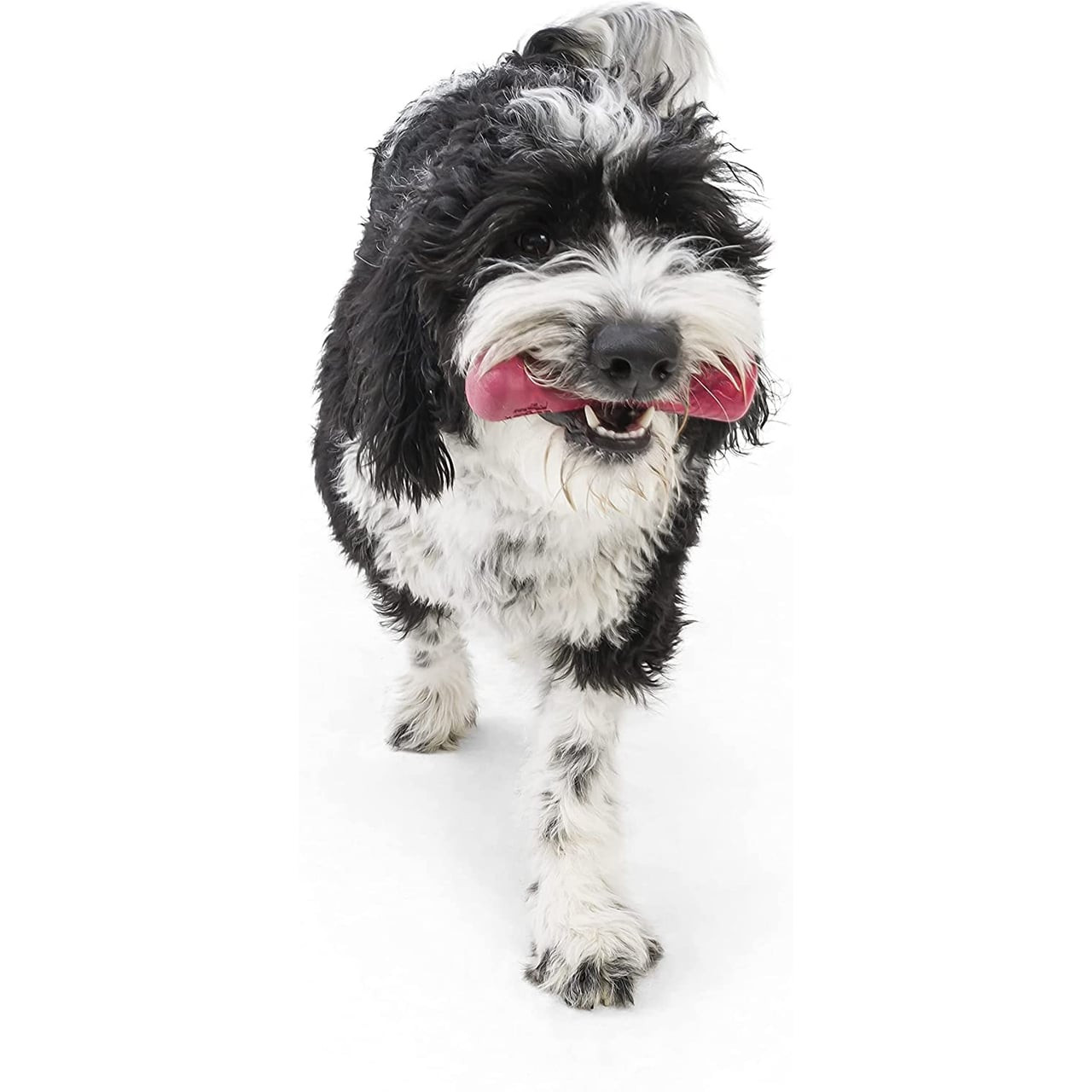 West Paw Seaflex Drifty Small Fetch Dog Toy in Hibiscus color, perfect for playful dogs.