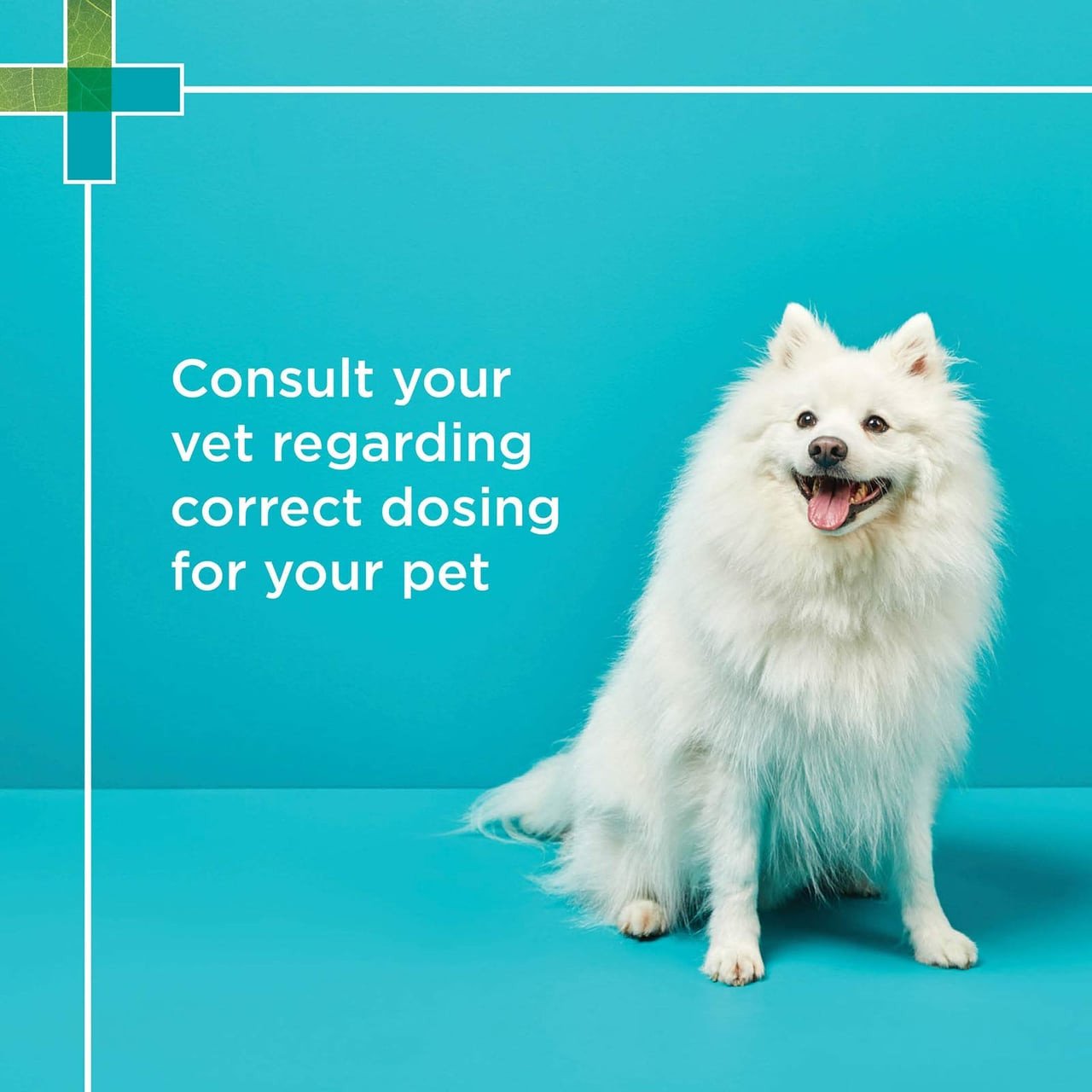 PAW Hepatoadvanced for Dogs over 15kg, 30 tablets for pet health support.