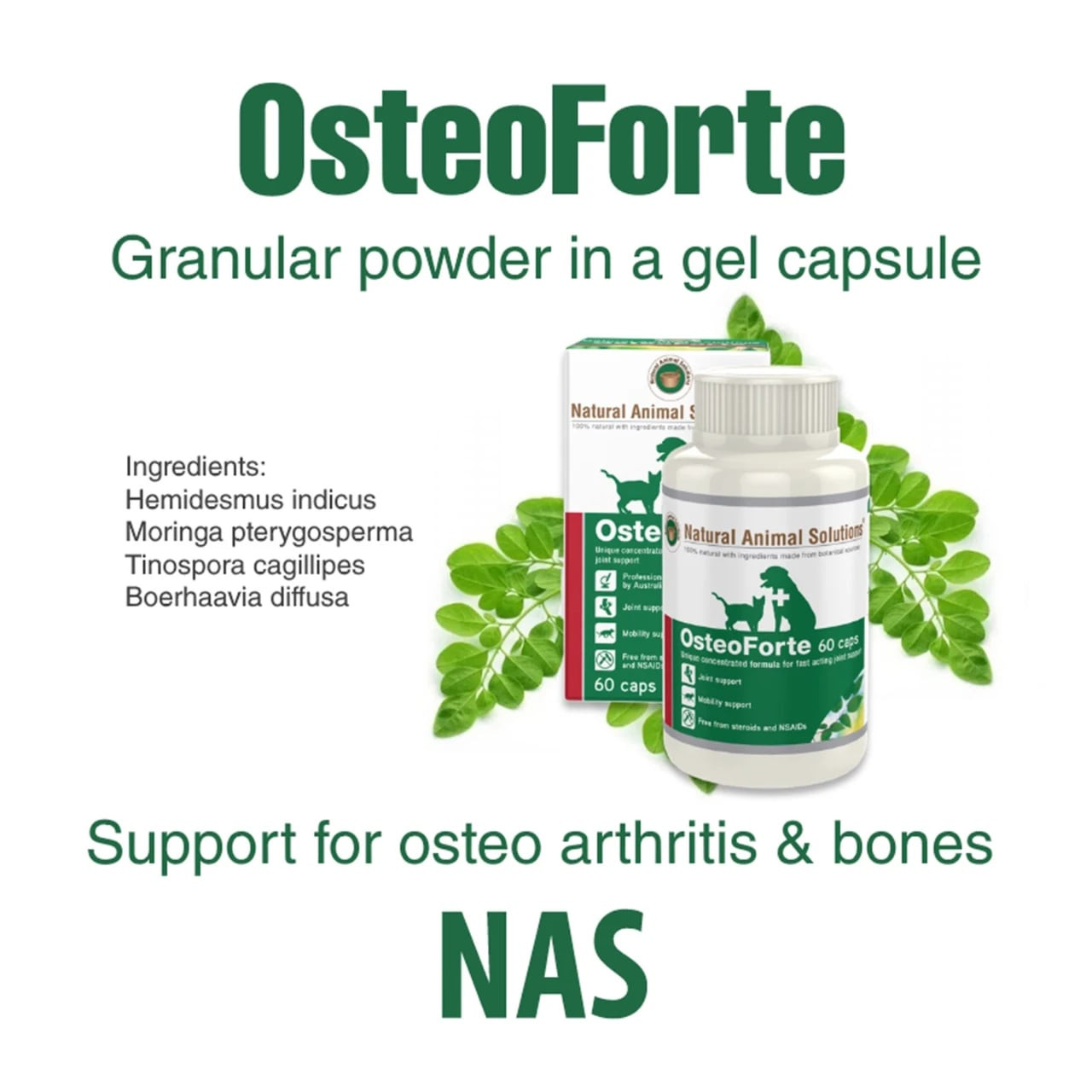 OsteoForte Capsules by NAS support joint health for pets with osteoarthritis, 60 count.