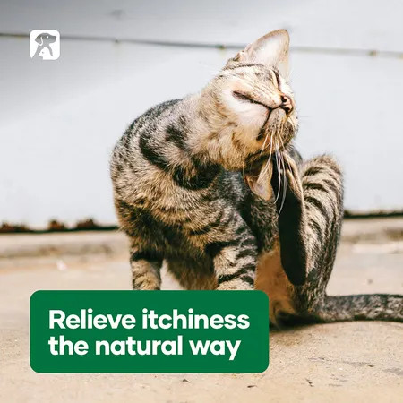 NAS Itchy Scratch 100mL for pets, promoting relief from itchiness naturally.