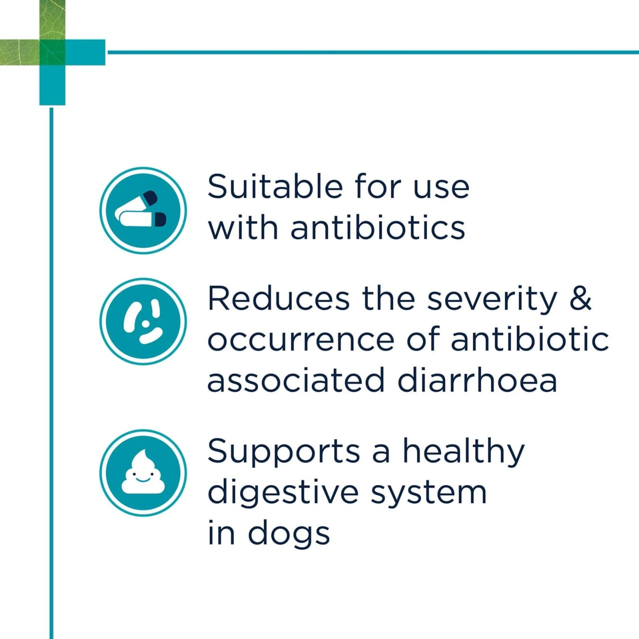 PAW Digesticare SB Gastrointestinal Support capsules for dogs, promoting healthy digestion and reducing diarrhea.