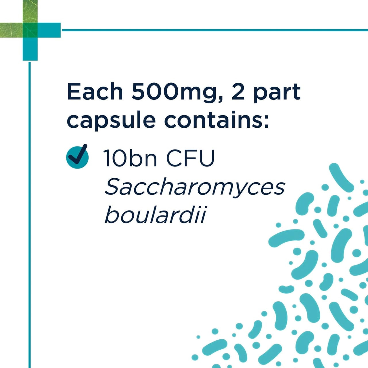 PAW Digesticare SB Gastrointestinal Support capsules with 10bn CFU for dogs, 30 count.