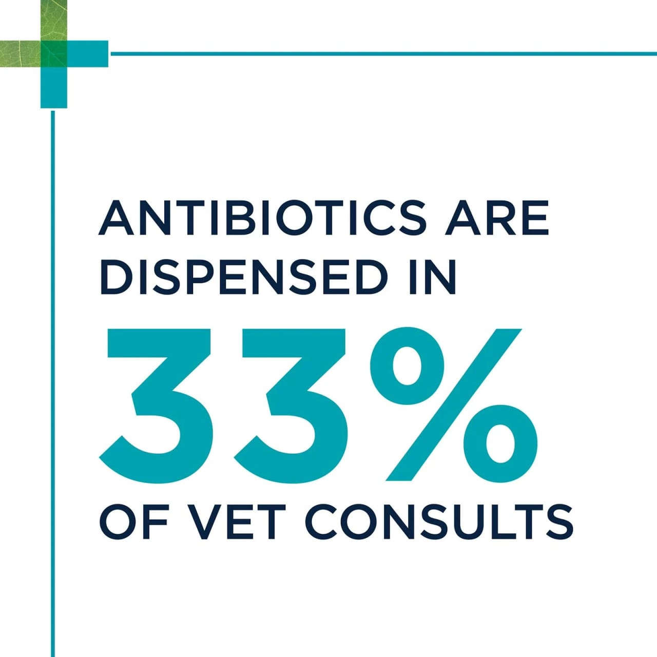 PAW Digesticare SB Gastrointestinal Support for Dogs, 500mg, 30 capsules packaging design.