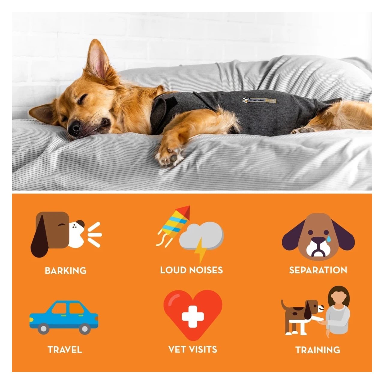 ThunderShirt for anxious dogs, designed for comfort during barking, loud noises, and travel.