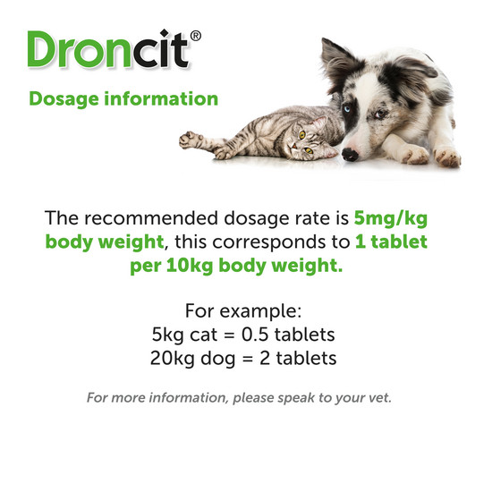 Droncit Tapewormer for Dogs and Cats, 104 tablets, dosage guide for effective pet health.